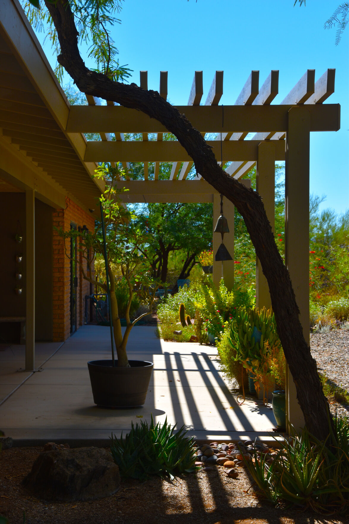 2023 Master Gardener Home Garden Show